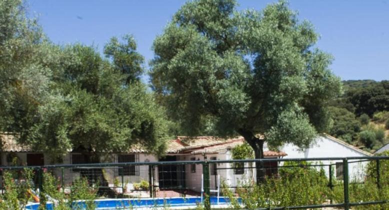 Casa Abanto Ronda