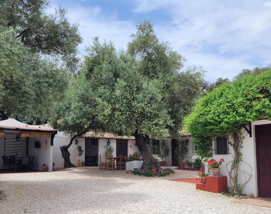 Casa Abanto Ferienhaus Ronda