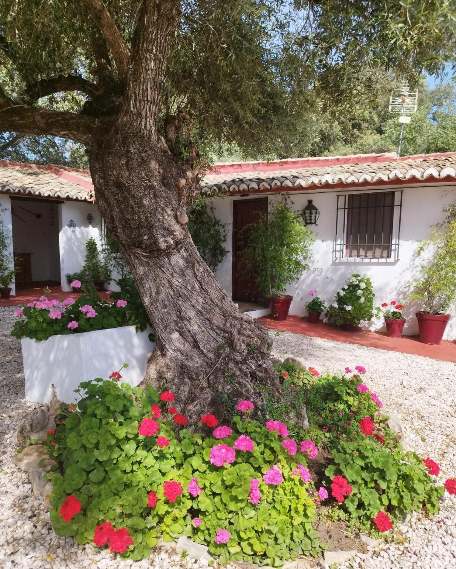 Casa Abanto Ronda