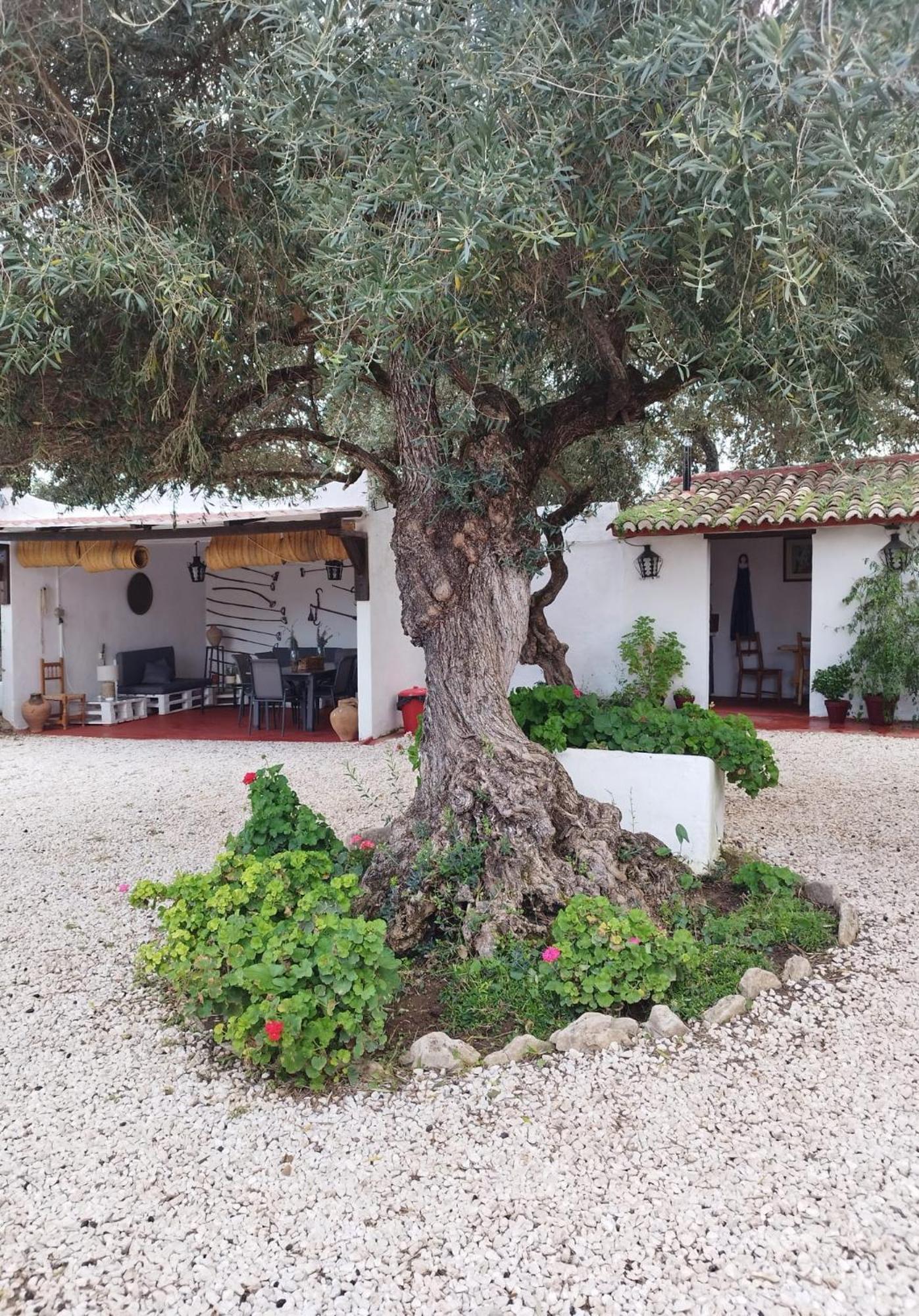 Casa Abanto